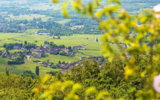 Champagne and Burgundy Vineyards Granted UNESCO World Heritage Status