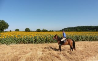 Tally ho! Touring the Loire Valley’s Chateaux on Horseback
