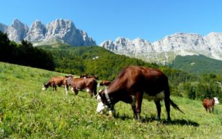 Alpine Adventures: Parc naturel r&eacute;gional du Vercors