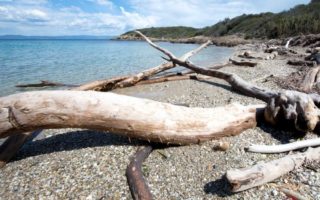 C&ocirc;te d’Azur Travels: Top 5 Things to Do in Toulon