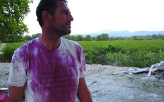 La Vendange at Mas de Brun Vineyard in Bandol