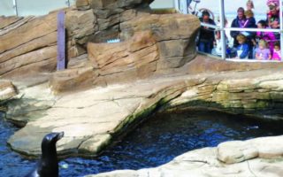 Ocean and Climate at Aquarium Nausica&aacute;