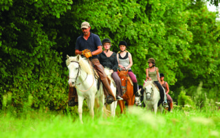 Summertime, and the living in France is easy!