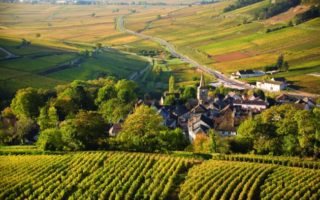 Exploring the Ancient Vineyards of Burgundy, Now Classified by UNESCO