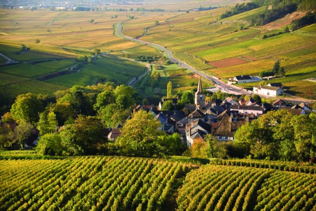 Exploring the Ancient Vineyards of Burgundy, Now Classified by UNESCO