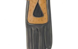 Hand in Glove