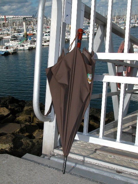 The Real Parapluies de Cherbourg