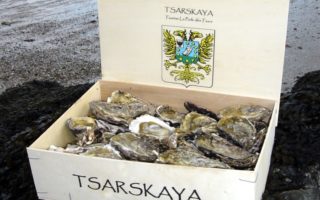 An Imperial Oyster