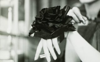 Exclusive Excerpt: Dior and Roses