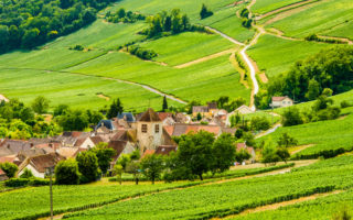 Visit Aisne: A Green Gem Steeped in History