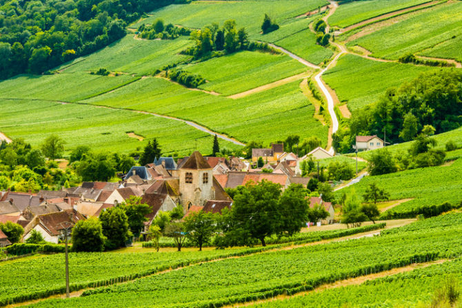 Visit Aisne: A Green Gem Steeped in History