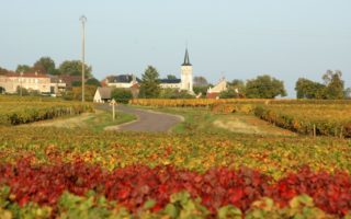 Burgundy’s C&ocirc;te de Beaune