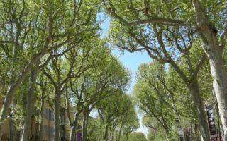 Irresistible Aix