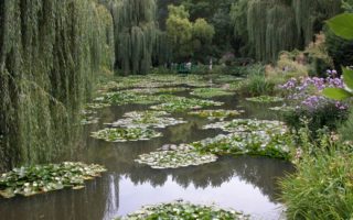 How Monet’s Garden Grew