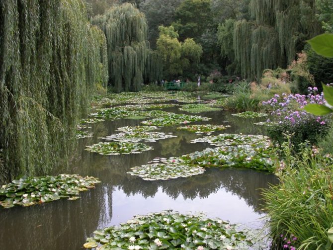 How Monet’s Garden Grew