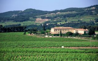 Ros&eacute; de Provence