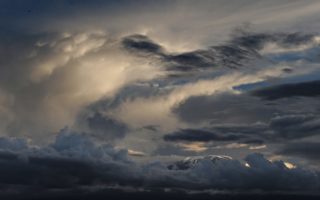 The French-American Foundation Weekly Brief