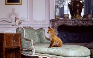 Paris: Karen Knorr, Fables