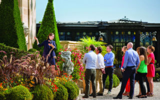 The Luxury Wine Experience: An Inside Look at Bordeaux Wine Tours by Bernard Magrez