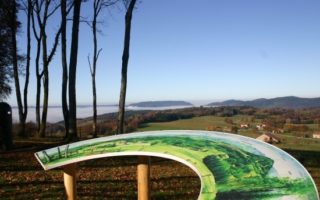 Cultural Escapes on the Western Front 14-18