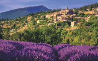 Vaucluse: The Beating Heart of Provence