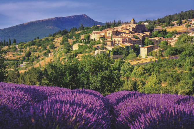 Vaucluse: The Beating Heart of Provence