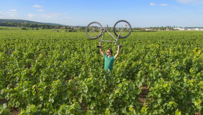 6 Original Ways to Discover the Vineyards of Burgundy