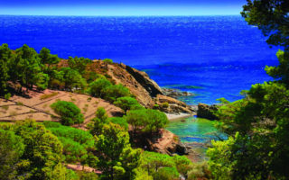 10 Reasons to Visit Languedoc