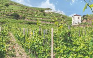 What to See and Do in the Drôme