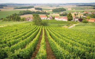 Champagne Wars: In a Tizz Over Fizz