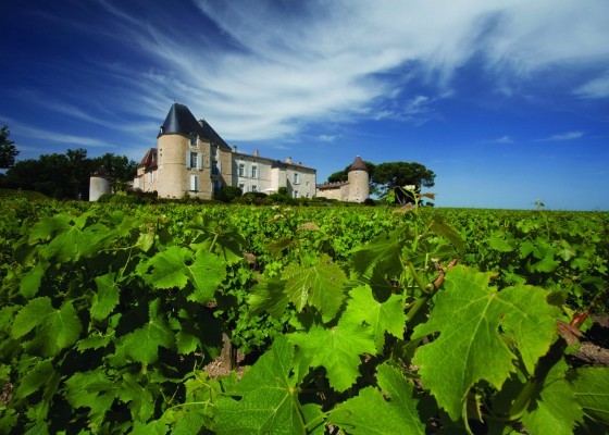 Château d’Yquem Opens to the Public for the First Time