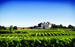 Time with Wine: Monbazillac’s Golden Promise