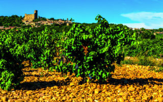 Women in Wine: Breaking the Glass Ceiling in France