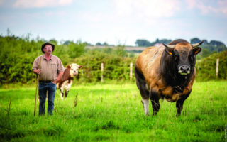 On the Gourmet Trail in the Vendée