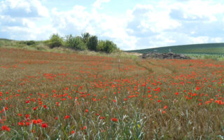 The Somme: In Search of a Name