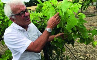 Eau Naturel: Jean-François Rault, Pioneer of Organic Cognac