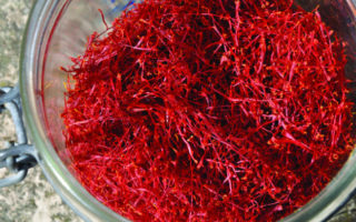 Saffron in France: Red Gold in the Lot