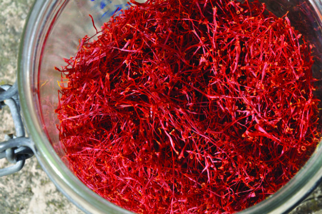 Saffron in France: Red Gold in the Lot