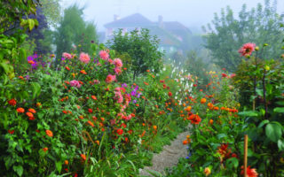 Claude Monet & Gustave Caillebotte: Painters, Gardeners and Best of Friends