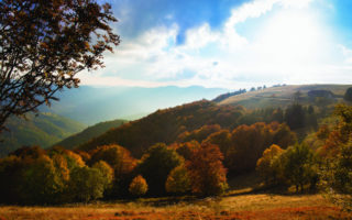 Great Destinations in France: A World of New Adventure in Alsace
