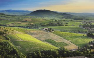 A Complete Guide to Burgundy: Venture Beyond the Vineyards