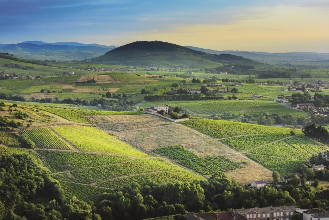 A Complete Guide to Burgundy: Venture Beyond the Vineyards