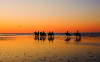 Horse-riding in Normandy