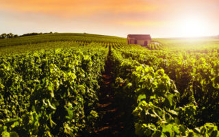 Great French Destinations: Champagne and the Ardennes