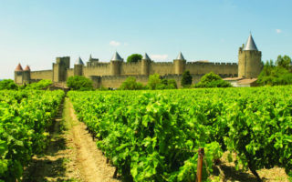 Taste the Terroir: The Fruits of the Sud de France