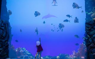 Explore Australia’s Great Barrier Reef… in Monaco
