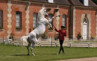 10 Reasons to Visit Orne in Normandy
