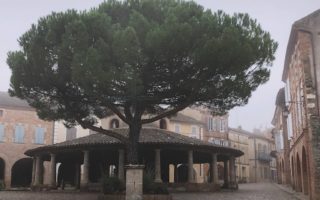 12 Essential Visits in Tarn-et-Garonne