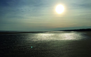Out of the Shadows: Omaha Beach Revelations at Maisy Battery