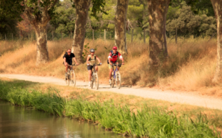 Cycling holidays in the Tarn